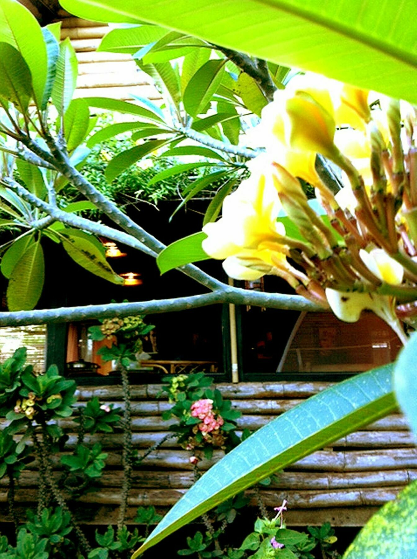 The Village House Puerto Princesa Extérieur photo