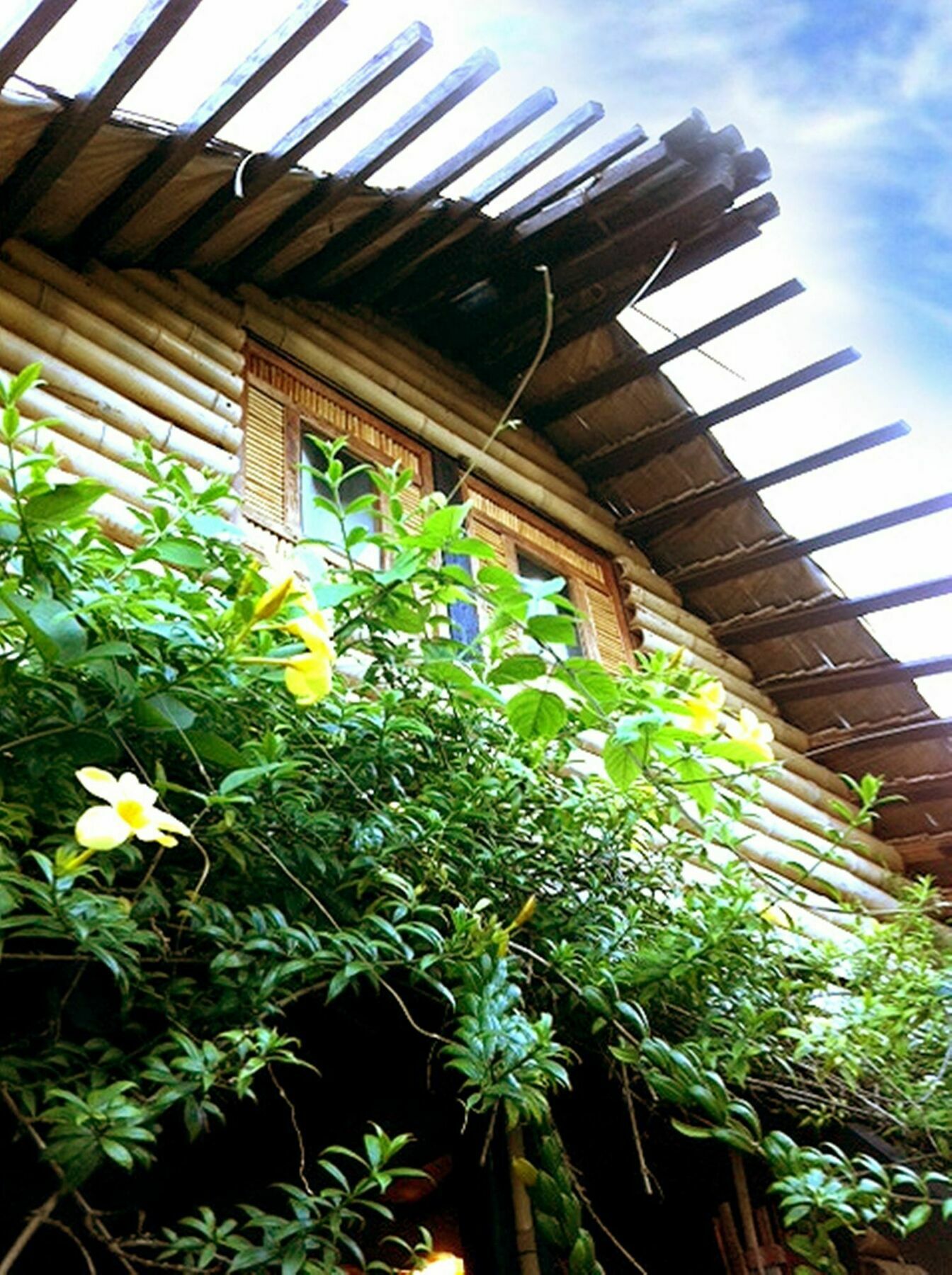 The Village House Puerto Princesa Extérieur photo